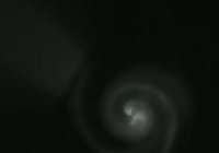 UFO observed above Israel was launched by Russia. 47297.jpeg