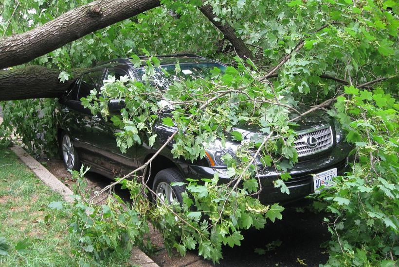 Balcony Slab Collapses on Woman Amid Violent Windstorm in Omsk