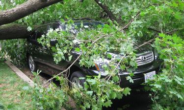 Balcony Slab Collapses on Woman Amid Violent Windstorm in Omsk