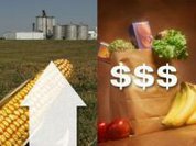Global food prices: Panic?