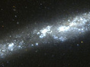 No nearby dark matter