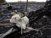 Was it a Buk missile or a Su-25 that shot down MH-17?