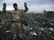 Ukrainian pilot shot down Malaysian Boeing MH17, secret witness says