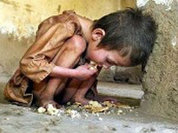 Food prices grow at fearful rate