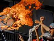Palestine welcomes Gaddafi's fall