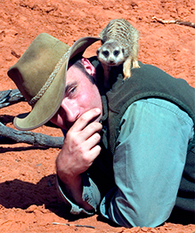 Meerkats: Sunny angels